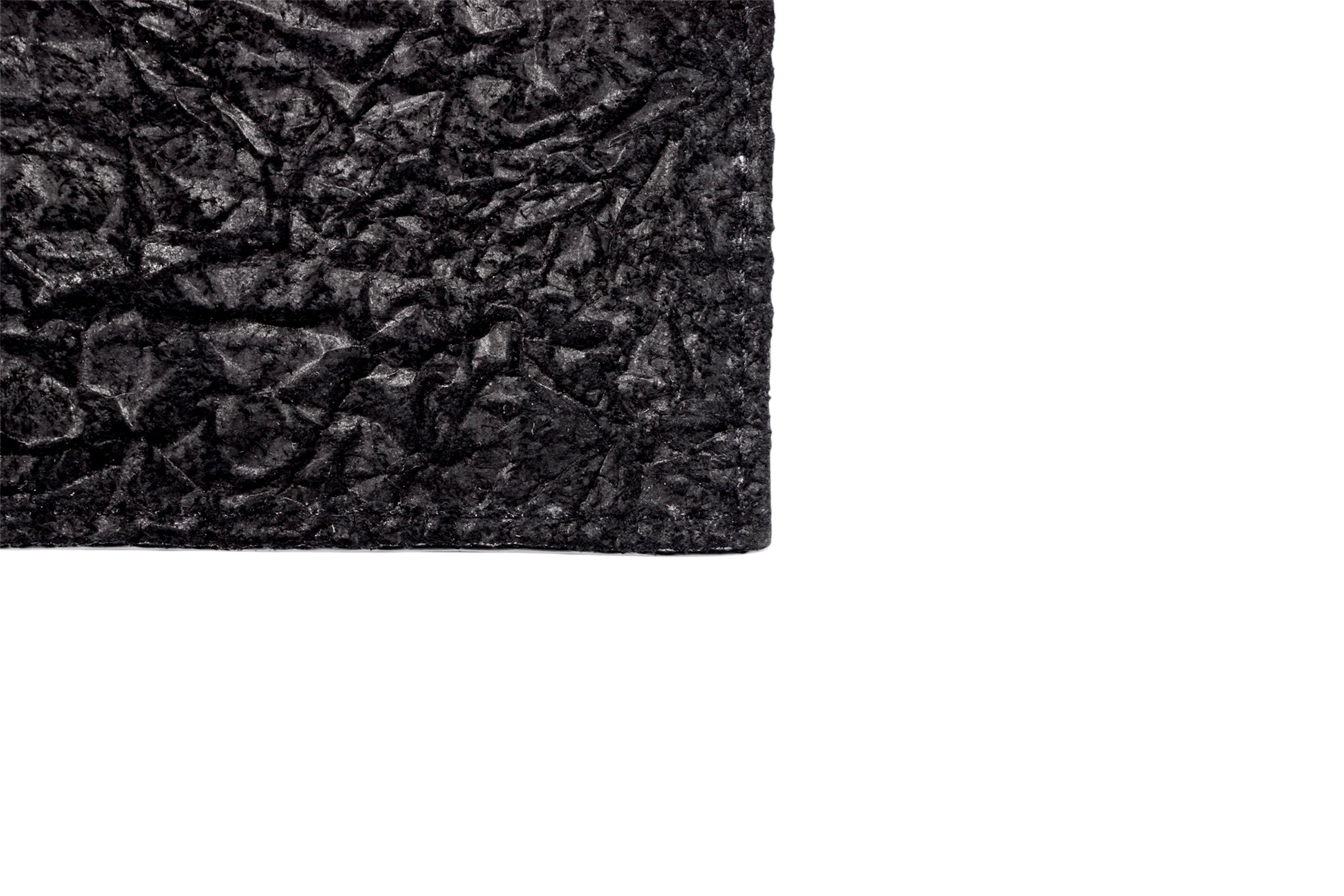 Crinkle Cardholder (black)