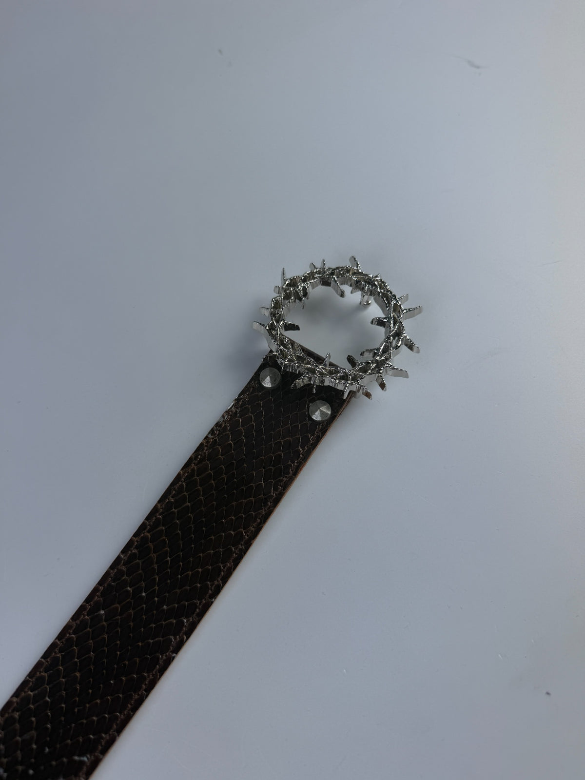 Kranz Brown Snake Skin Imperfect Sample