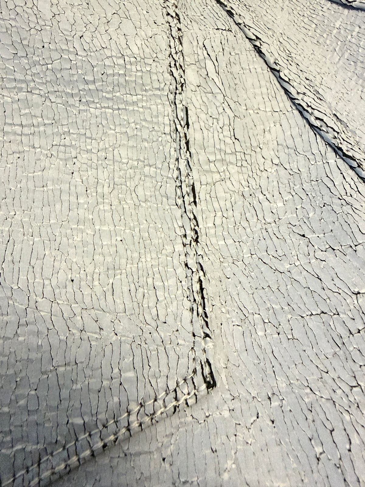Cracked Leather Pants (white)