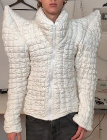Star Puffer Sample