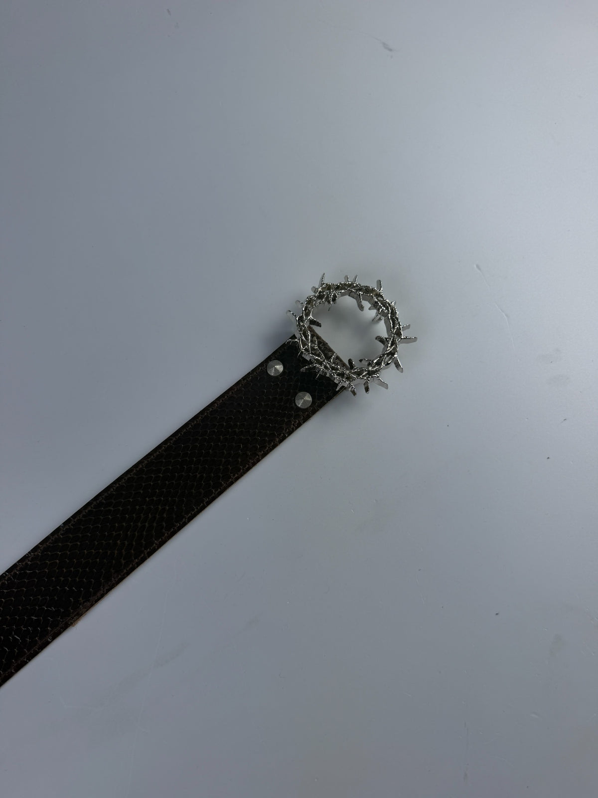 Kranz Brown Snake Skin Sample
